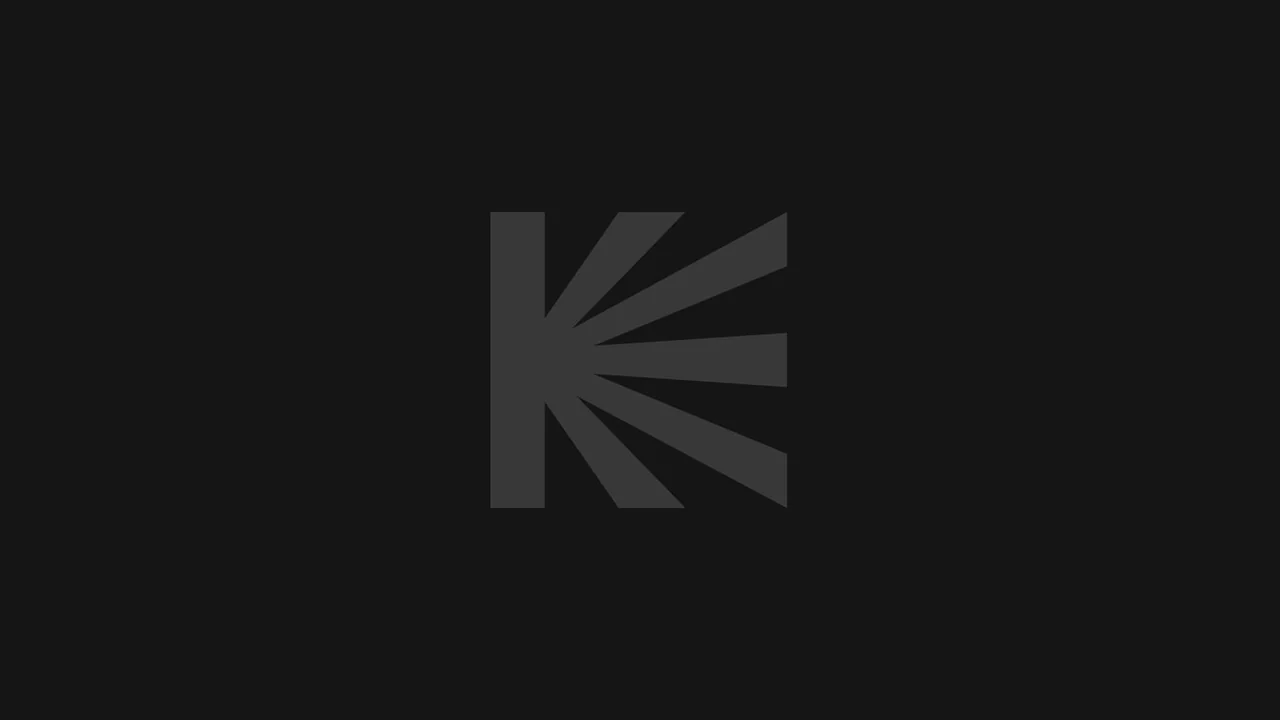 Фильм Сибирь. Монамур (2011)
